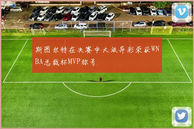 斯图尔特在决赛中大放异彩荣获WNBA总裁杯MVP称号